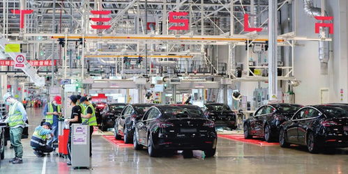 上海特斯拉超級工廠再創歷史紀錄 6月國內銷售激增138%，林業產品銷售亮點紛呈