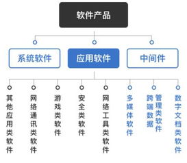 2017年中國軟件和信息技術服務行業(yè)監(jiān)管及主要政策法規(guī)分析