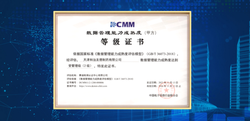 天津和治友德制藥成功通過DCMM貫標等級認證，信息技術服務邁上新臺階
